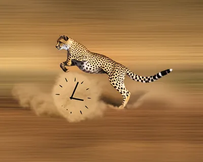 Illustration soon - Image 1