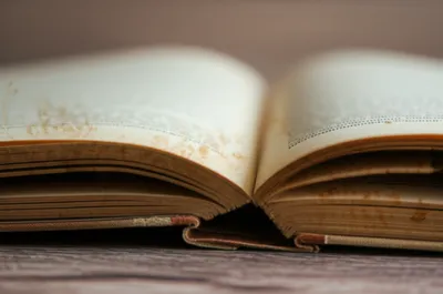 Illustration foxed - Image 1