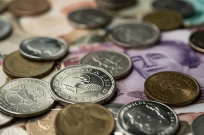 Hình ảnh minh họa loonies