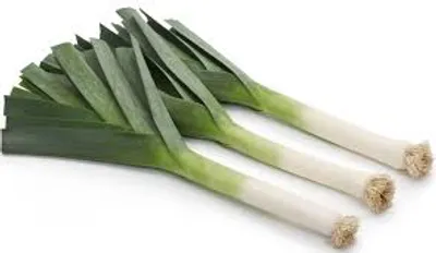 Illustration leek - Image 2