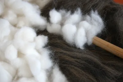 Illustration combs - Image 1