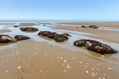 Illustration ebb - Image 1