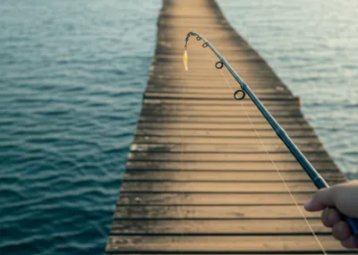 Illustration casts - Image 1