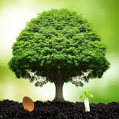 Illustration beget - Image 1