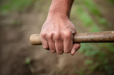 Illustration gripes - Image 1