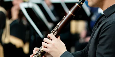 Illustration oboes - Image 1