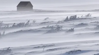 Illustration blizzard