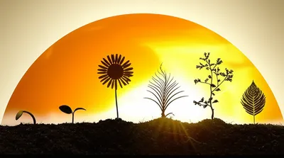 Illustration days - Image 1