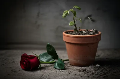 Illustration unfaithful - Image 1