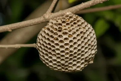 Illustration papers - Image 1