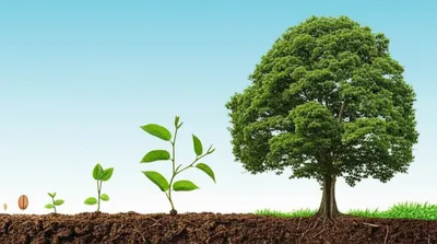 Illustration size - Image 1