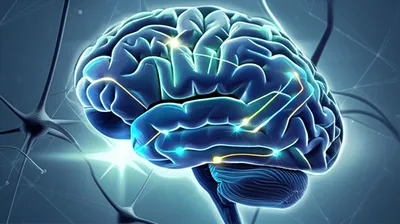 Illustration neurological