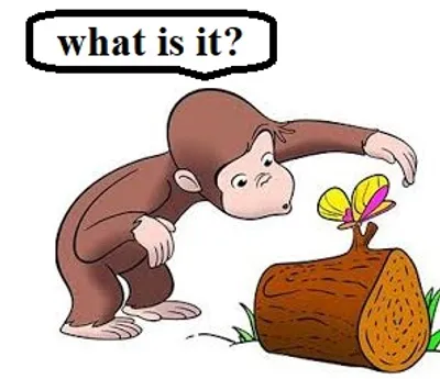 Illustration wonder - Image 4