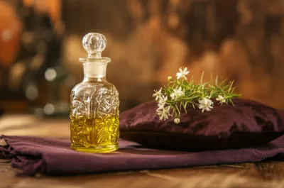 Illustration nards - Image 1