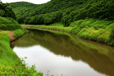 Illustration fluency