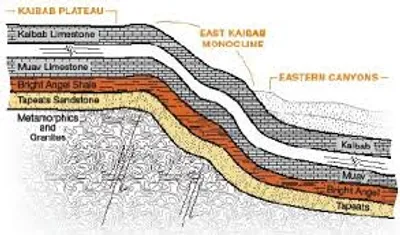 Illustration measure - Image 2