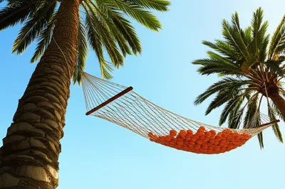 Illustration sags - Image 1