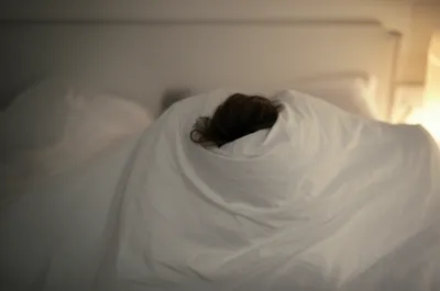 Illustration sheet - Image 1