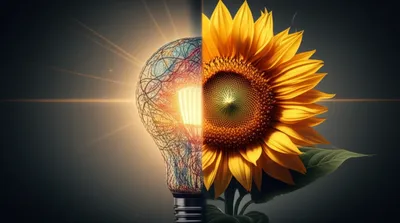 Illustration illustrations - Image 1