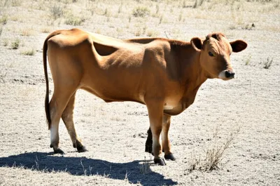 Illustration empty - Image 1