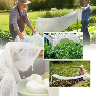 Illustration cheesecloth