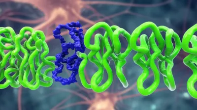 Illustration prions - Image 1