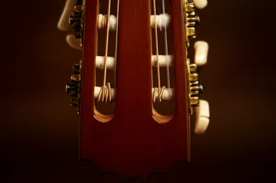 Illustration courses - Image 1