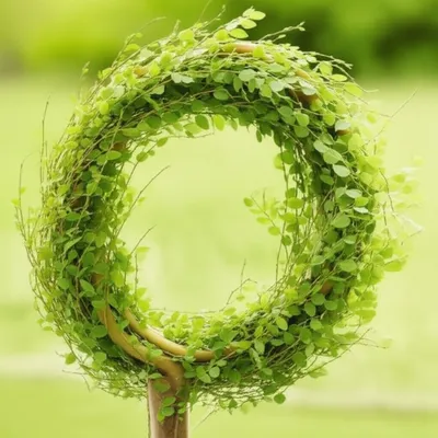 Illustration curves - Image 1