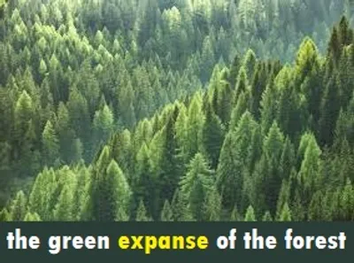 Illustration expanse - Image 2