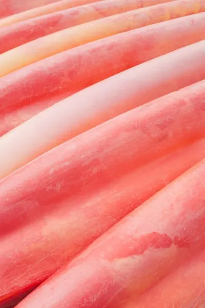 Illustration scuffed - Image 2