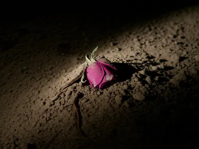 Illustration buried - Image 1