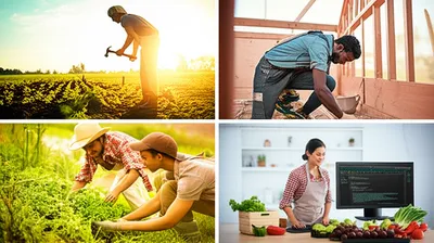 Illustration livelihood