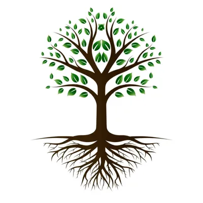 Illustration establish - Image 1