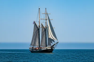 Illustration jiggers - Image 1