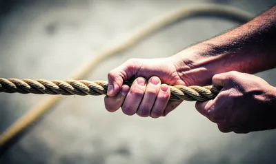 Illustration haul - Image 1