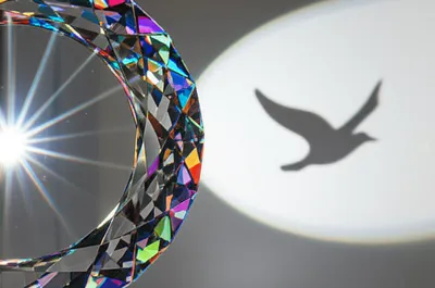 Illustration projected - Image 1