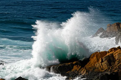 Illustration dash - Image 1