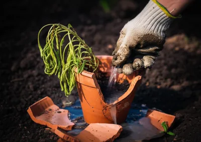 Illustration abusive - Image 1