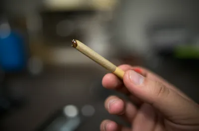 Illustration bummed - Image 1