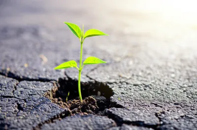 Illustration progressed - Image 1