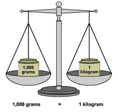 Illustration gram - Image 2