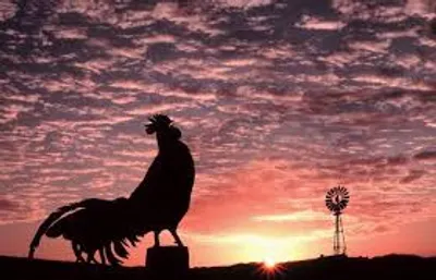 Illustration daybreak - Image 2