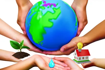 Illustration carries - Image 1