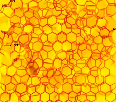 Illustration melon - Image 1