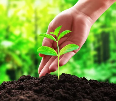 Illustration subordination