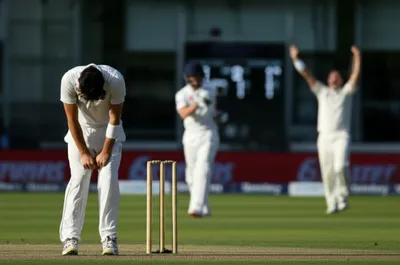 Illustration conceded - Image 1