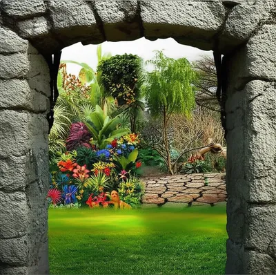 Illustration portal - Image 1