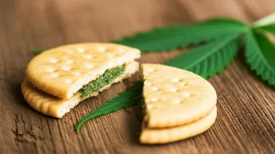 Illustration firecrackers - Image 1