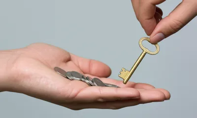 Illustration bonds - Image 1