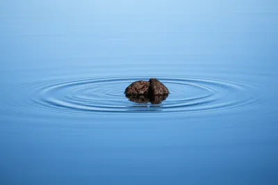 Illustration flops - Image 1